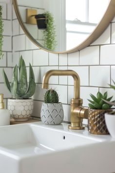 a bathroom sink with a mirror above it and some plants on the counter next to it