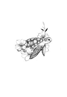 a drawing of a turtle and flowers