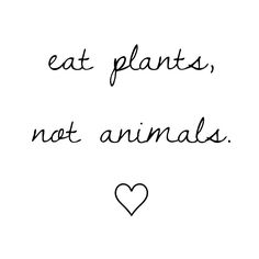 the words eat plants, not animals are written in black ink on a white background