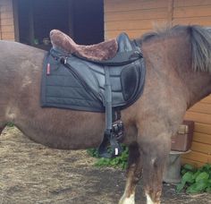 a brown horse standing next to a wooden building with a saddle on it's back