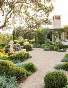 a house with lots of trees and bushes around it