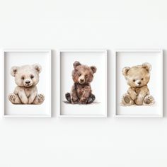 three framed pictures of teddy bears sitting on the floor in front of a white wall