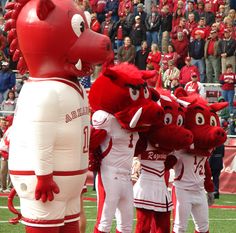 Wooooo Pig Soooiieeee!!! Tailgating Ideas, Tailgate Essentials, River Float, Football Program