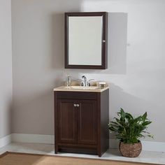 a bathroom with a sink, mirror and potted plant on the floor in front of it