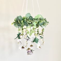 a plant hanging from the ceiling with white flowers and green leaves