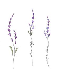 three different types of lavender flowers with the words love written in cursive writing