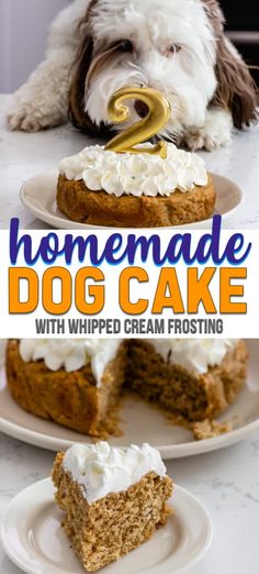 the cover of homemade dog cake with whipped cream frosting is shown in this book