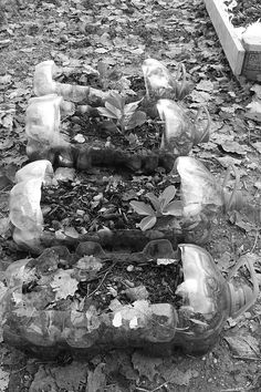 several empty glass bottles sitting on the ground