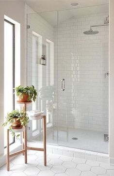 a bathroom with a walk in shower and potted plants on the stand next to it