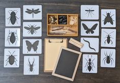 a collection of insect stencils in a box on a wooden table next to an envelope