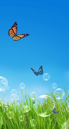 two butterflies are flying in the air over some green grass and blue sky with bubbles