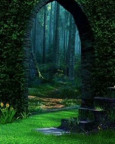 an arch in the middle of a lush green forest