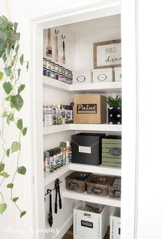 an organized pantry with white shelving and lots of items on the shelves, along with plants