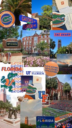 collage of florida state images with the university's motto and other college emblems