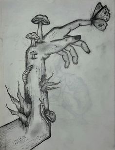 a drawing of a hand reaching for a mushroom on a piece of wood with a butterfly flying over it