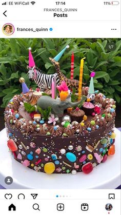 Frances Quinn, Party Animal Cake, Edible Confetti, Kids Cakes, Creative Birthday, Animal Cake, Party Animal, Birthday Cake Kids, Food Cakes