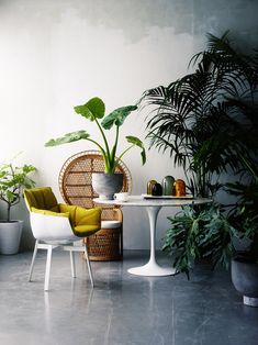 a white table with two chairs and a potted plant next to it that says deco inspirational 7