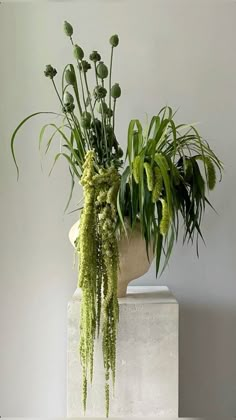 a white vase filled with green plants on top of a table