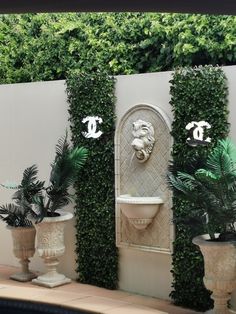 an outdoor fountain surrounded by potted plants next to a wall with ivy growing on it