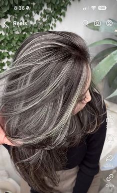 Silver And Brown Hair Highlights, Long Hair Grey Highlights, Cool Toned Blonde Hair Balayage Dark Brown, Sliver Highlight Hair, Dark Brown Gray Hair, Silver Grey Highlights On Dark Hair, Razor Cut Hairstyles Long, Brunette Grey Blending Highlights, Hair Color Ideas To Cover Grey Hair