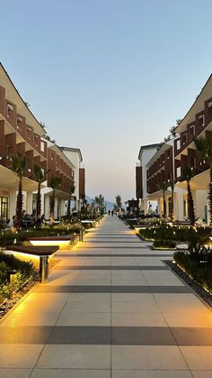 an empty walkway between two buildings with lights on each side and palm trees in the middle