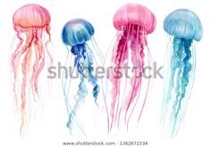 four jellyfishs in different colors and sizes on a white background with watercolor paint