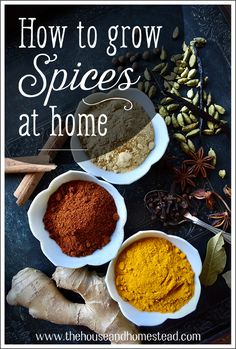 three bowls filled with spices and herbs on top of a black table next to an orange ginger