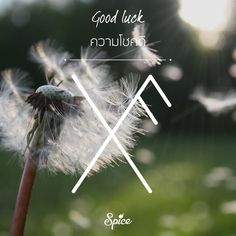 a dandelion with the words good luck and an x on it in white