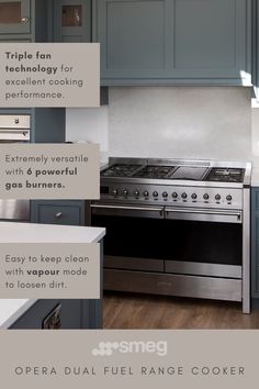 an image of a kitchen setting with stainless steel appliances and blue cabinets, including stove top oven