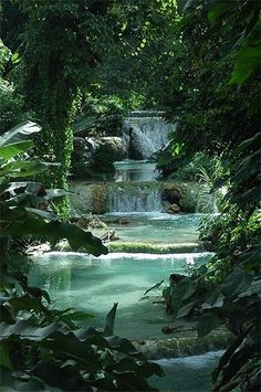 a small waterfall surrounded by lush green trees