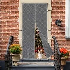 a dog is sitting on the steps in front of a house with a screen door