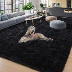 a dog laying on top of a black rug in a living room