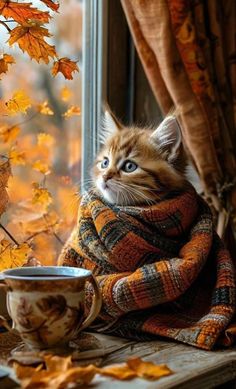 a cat sitting on a window sill next to a cup