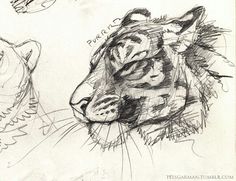 a drawing of a tiger's head and another animal's face with its mouth open