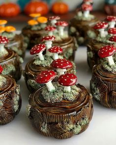 small red and white mushrooms are sitting on top of some wood boxes with moss growing out of them