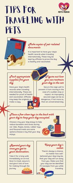 Pet travel
Traveling with pets
Pet-friendly travel
Pet travel tips Road Trip With Pets, Dogs Traveling, Dog Travel Essentials, Traveling With Cats, Travel Etiquette, Traveling With Dogs, Traveling With Pets