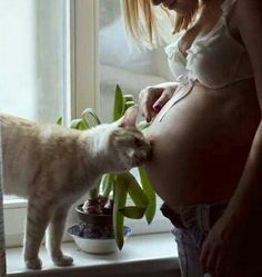 a pregnant woman standing in front of a window next to a cat and potted plant