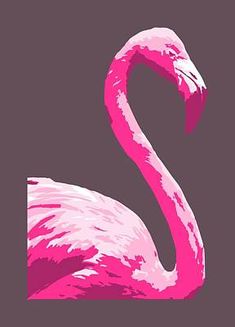 a pink flamingo standing in front of a gray background