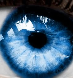 Blue Iris Eye, Sapphire Blue Eyes, Tristan Caine, Electric Blue Eyes, Blue Eyes Aesthetic, Indigo Eyes, Arcane Trickster, Steel Blue Eyes, Dark Blue Eyes