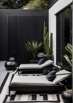 an outdoor lounge area with black and white striped rugs, potted cacti and succulents