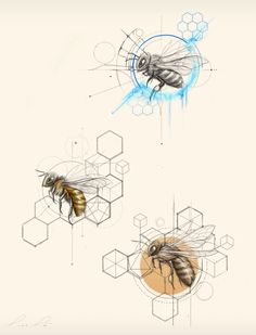 two drawings of bees flying in the air