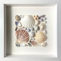 a white frame with seashells and shells in it