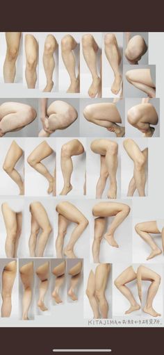 an image of different types of legs and feet in various positions, all showing the same size