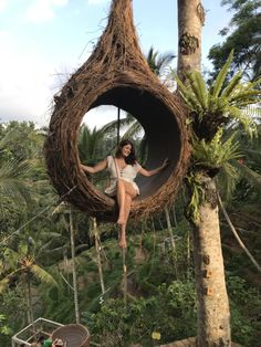 a woman is sitting in a bird's nest hanging from a palm tree branch