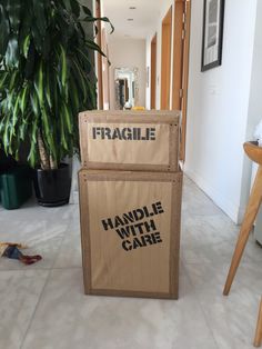 a cardboard box sitting on the floor next to a potted plant in a hallway