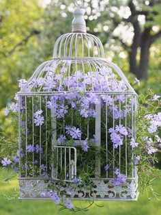 a birdcage filled with purple flowers sitting in the grass