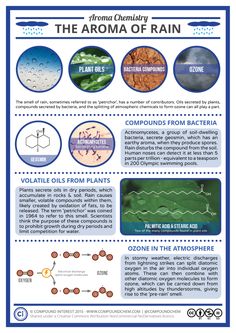 the aroma of rain info sheet