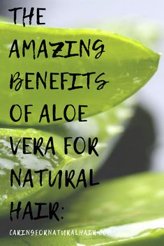 Hair Home Remedies, Aloe Vera Moisturizer, Benefits Of Aloe Vera, Hair Moisturizer, Aloe Vera Face Mask, Today Tips, Aloe Vera For Hair, Make Up Tools, Hair Masks