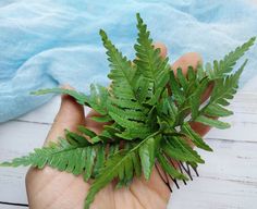 Woodland Wedding Hair, Formal Updos, Wedding Hair Comb, Foam Flowers, Hair Comb Wedding, Woodland Wedding, Greenery Wedding, Hair Pin, Bride Hairstyles