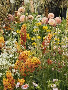 many different types of flowers in a garden